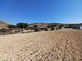 Land for sale in Pinoso. in Alicante Dream Homes API 1122