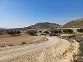 Land for sale in Pinoso. in Alicante Dream Homes API 1122