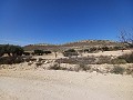Land for sale in Pinoso. in Alicante Dream Homes API 1122
