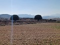 Land for sale in Pinoso. in Alicante Dream Homes API 1122