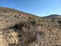 Land for sale in Pinoso. in Alicante Dream Homes API 1122