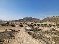 Land for sale in Pinoso. in Alicante Dream Homes API 1122