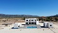 Fertig in 5 Monaten Neubauvilla mit Gästehaus und Pool in Alicante Dream Homes API 1122