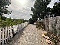 Privécamping met een huis met 4 slaapkamers in Alicante Dream Homes API 1122