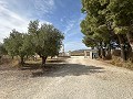 Privécamping met een huis met 4 slaapkamers in Alicante Dream Homes API 1122