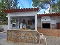 Lovely 5 bed 1 Bath Villa near the Town of Sax in Alicante Dream Homes API 1122