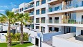 2 bedroom Penthouse in Playa Flamenca in Alicante Dream Homes API 1122