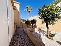 7 bedroom Villa in San Miguel de Salinas in Alicante Dream Homes API 1122