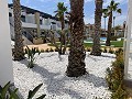 Bungalow met 3 slaapkamers in Punta Prima in Alicante Dream Homes API 1122