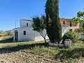Beautiful Rural Country Home Awaiting a New Beginning  in Alicante Dream Homes API 1122