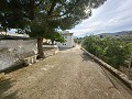 Spacious 230 m² Cave House with Mountain Views Near Pinoso in Alicante Dream Homes API 1122