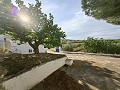 Spacious 230 m² Cave House with Mountain Views Near Pinoso in Alicante Dream Homes API 1122