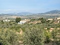 Spacious 230 m² Cave House with Mountain Views Near Pinoso in Alicante Dream Homes API 1122