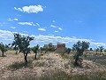 Ruiné à Pinoso avec suffisamment de terrain pour construire une nouvelle propriété in Alicante Dream Homes API 1122