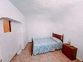 Maravillosa Casa Cueva con Terreno a tan solo 10 minutos de Pinoso in Alicante Dream Homes API 1122