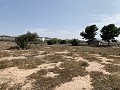 Villa met privézwembad, 3 slaapkamers, aparte garage en olijfbomen in Alicante Dream Homes API 1122