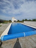 Prachtige villa met 6 slaapkamers en 5 badkamers in Pinoso. in Alicante Dream Homes API 1122