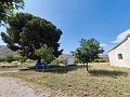 Lovely 6 bed 1 Bath Country house Estate in Yecla. in Alicante Dream Homes API 1122