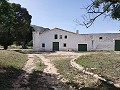 Lovely 6 bed 1 Bath Country house Estate in Yecla. in Alicante Dream Homes API 1122