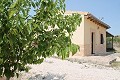 Lovely Authentic 4 Bed 2 Bath Spanish Finca with Guest House in Pinoso. in Alicante Dream Homes API 1122