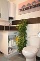  Lovely 2 Bed 2 Bath Corner House in Torre del Rico (Murcia). in Alicante Dream Homes API 1122