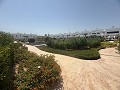 Prachtig appartement met 2 slaapkamers en 2 badkamers in Vistabella Golf Los Montesinos. in Alicante Dream Homes API 1122