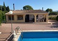 Fabulous 4 Bed Villa with Self-Contained Guest House in Sax. in Alicante Dream Homes API 1122