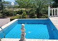 Fabulous 4 Bed Villa with Self-Contained Guest House in Sax. in Alicante Dream Homes API 1122