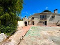 Investment Property with Endless Opportunities in Alicante Dream Homes API 1122