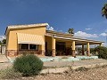 Villa avec 4 chambres et 2 salles de bain, grand terrain avec espace pour piscine, écuries ou entreprise in Alicante Dream Homes API 1122