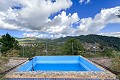 Rustic Farmhouse with Pool and Land in Torremanzanas in Alicante Dream Homes API 1122