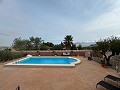 Prachtige villa met 5 slaapkamers en 3 badkamers in Sax. in Alicante Dream Homes API 1122