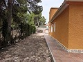 Komplett renovierte Villa in Alicante Dream Homes API 1122