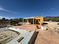 Wunderschönes Landhaus mit Pool in Sax in Alicante Dream Homes API 1122