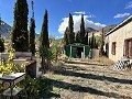 4 Bedroom house with Olive Grove on private road, close to Town. in Alicante Dream Homes API 1122