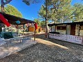 Cozy Country House with Additional Cottage in Finca Terol Urbanization in Alicante Dream Homes API 1122