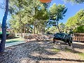 Cozy Country House with Additional Cottage in Finca Terol Urbanization in Alicante Dream Homes API 1122