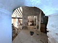Proyecto de renovación de bodega con características originales in Alicante Dream Homes API 1122