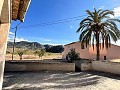 Proyecto de renovación de bodega con características originales in Alicante Dream Homes API 1122