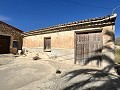Proyecto de renovación de bodega con características originales in Alicante Dream Homes API 1122