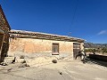 Proyecto de renovación de bodega con características originales in Alicante Dream Homes API 1122