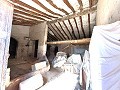 Proyecto de renovación de bodega con características originales in Alicante Dream Homes API 1122