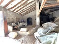 Proyecto de renovación de bodega con características originales in Alicante Dream Homes API 1122