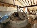 Proyecto de renovación de bodega con características originales in Alicante Dream Homes API 1122