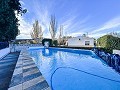 Villa met 4 slaapkamers, zwembad en grond in Sax in Alicante Dream Homes API 1122