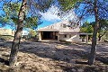 Nice Off grid 6 Bed 1 Bath country property with pool and large plot in Caudete in Alicante Dream Homes API 1122