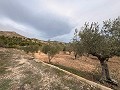 Rustic land in a privileged area of Onil in Alicante Dream Homes API 1122