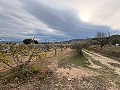 Rustic land in a privileged area of Onil in Alicante Dream Homes API 1122