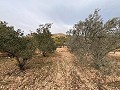 Rustic land in a privileged area of Onil in Alicante Dream Homes API 1122