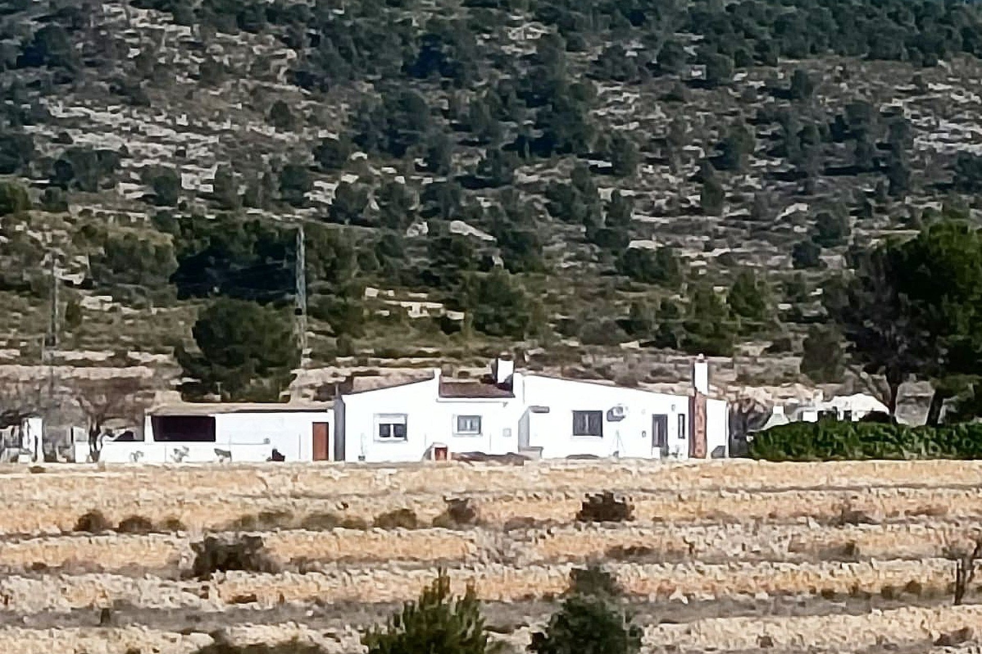 Landhuis in Monóvar